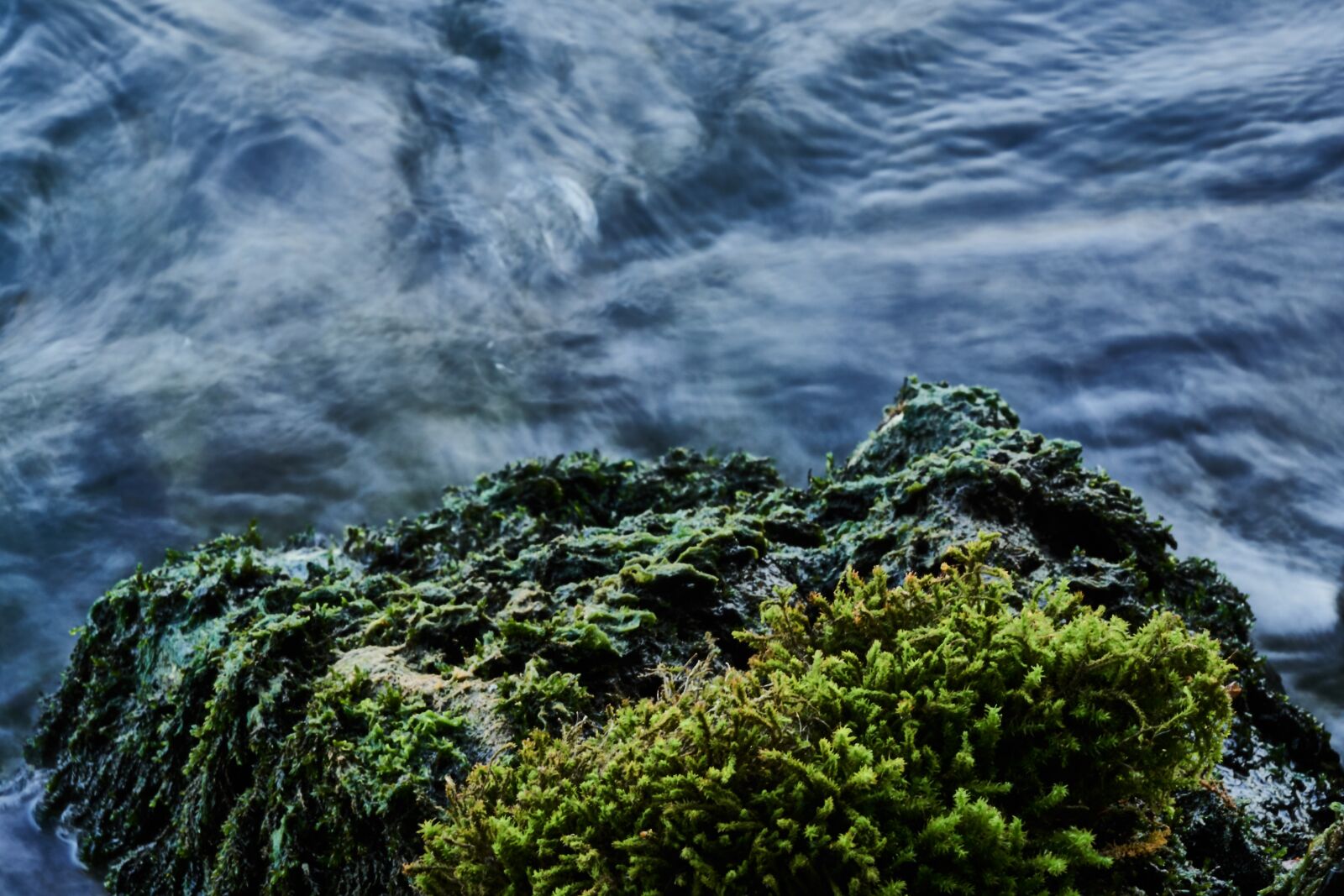Sony a6300 sample photo. River, moss, stone photography
