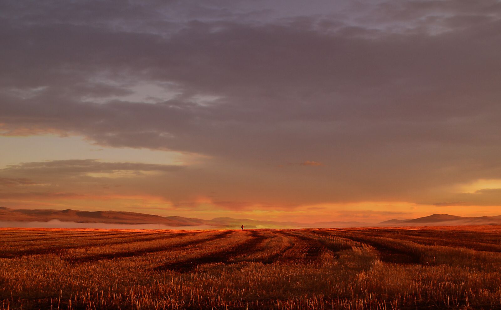 Nikon D3100 sample photo. Sunset, dawn, nature photography