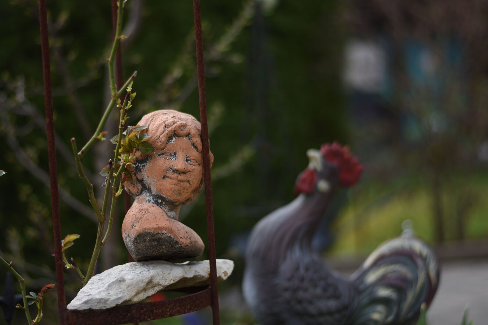 Nikon D7200 sample photo. Nature, woman, garden photography