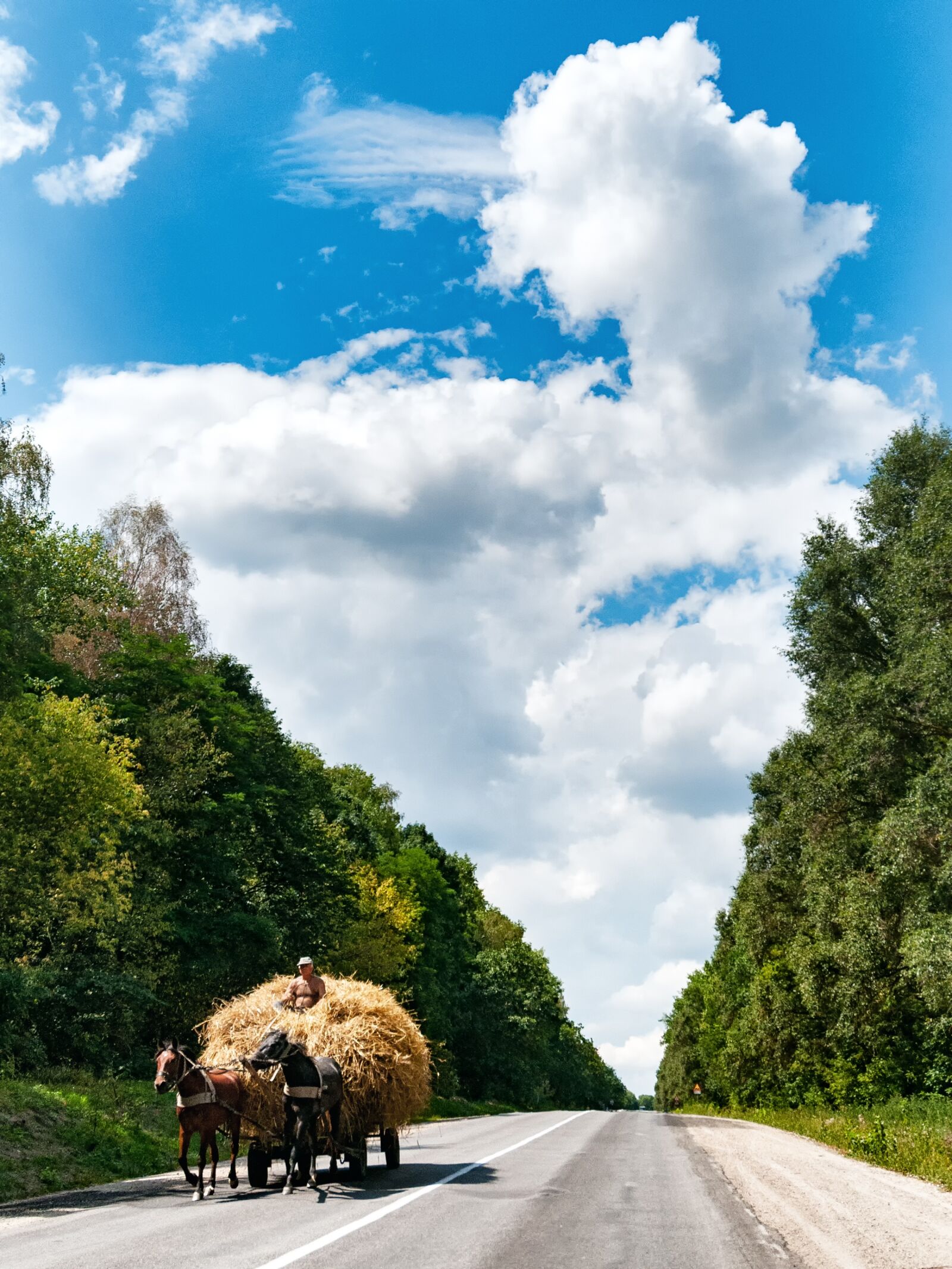 Nikon D300S sample photo. Horses, coach, hay photography