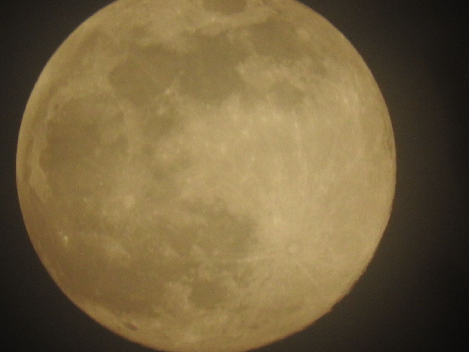 Nikon Coolpix P610 sample photo. Nature, night, moon photography