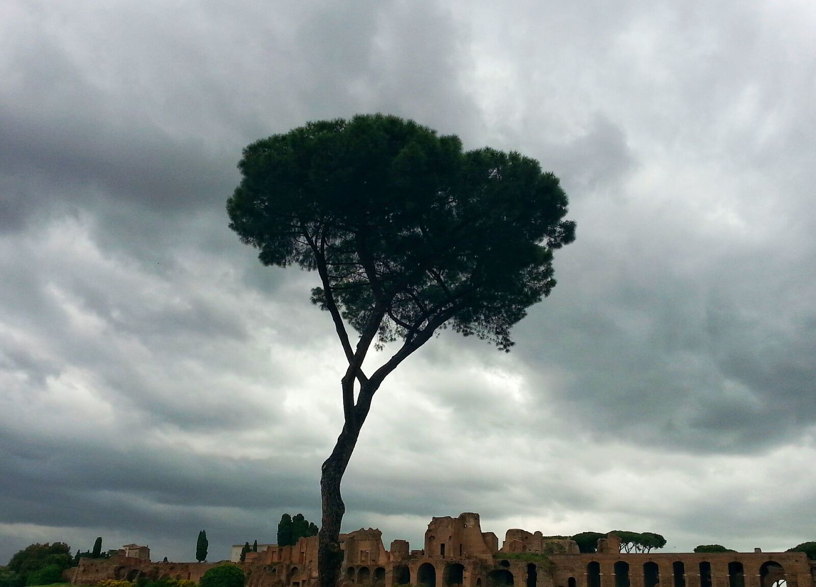 Samsung Galaxy S3 sample photo. Palatino, rome, spring photography