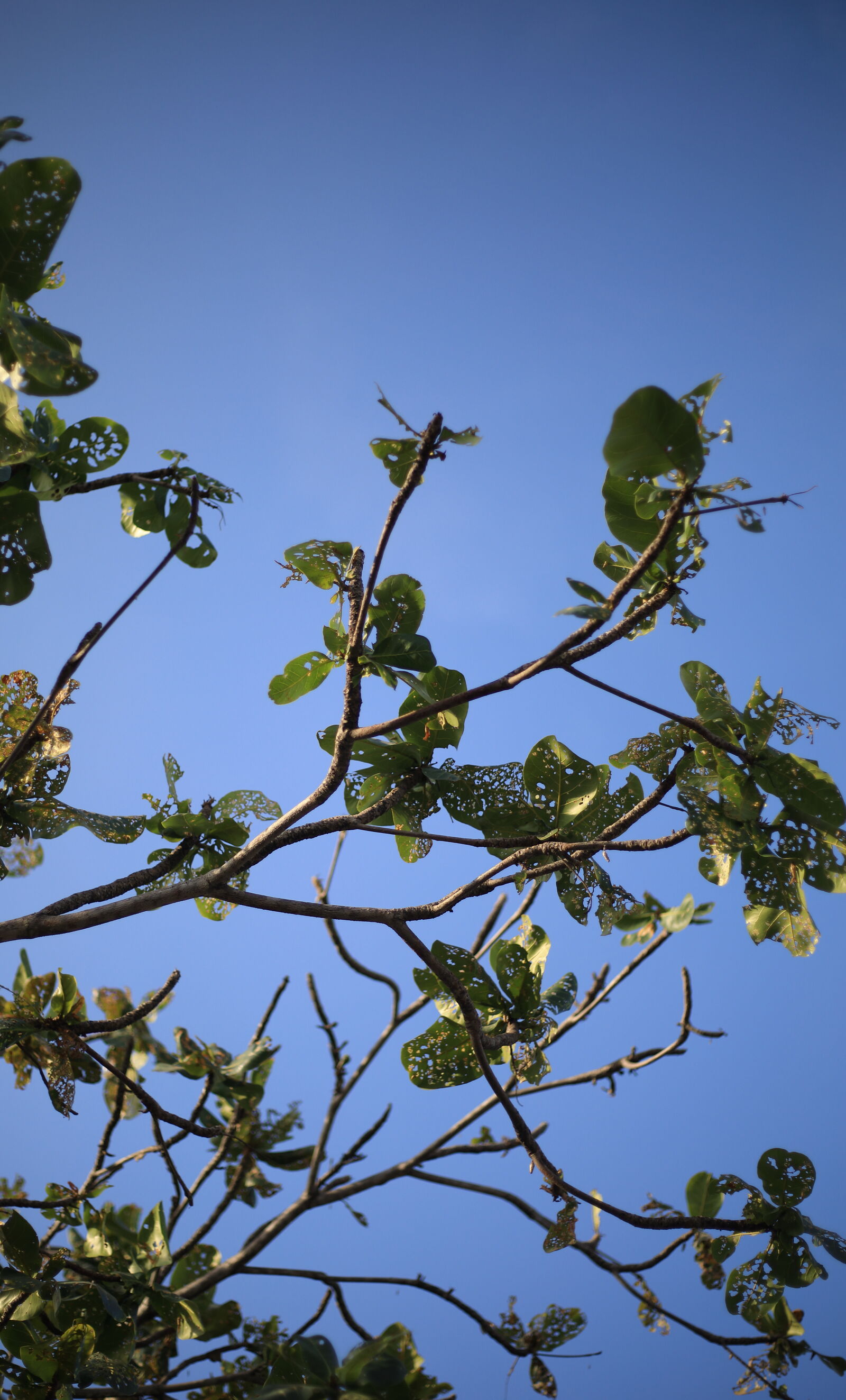 Canon EOS 5D Mark IV sample photo