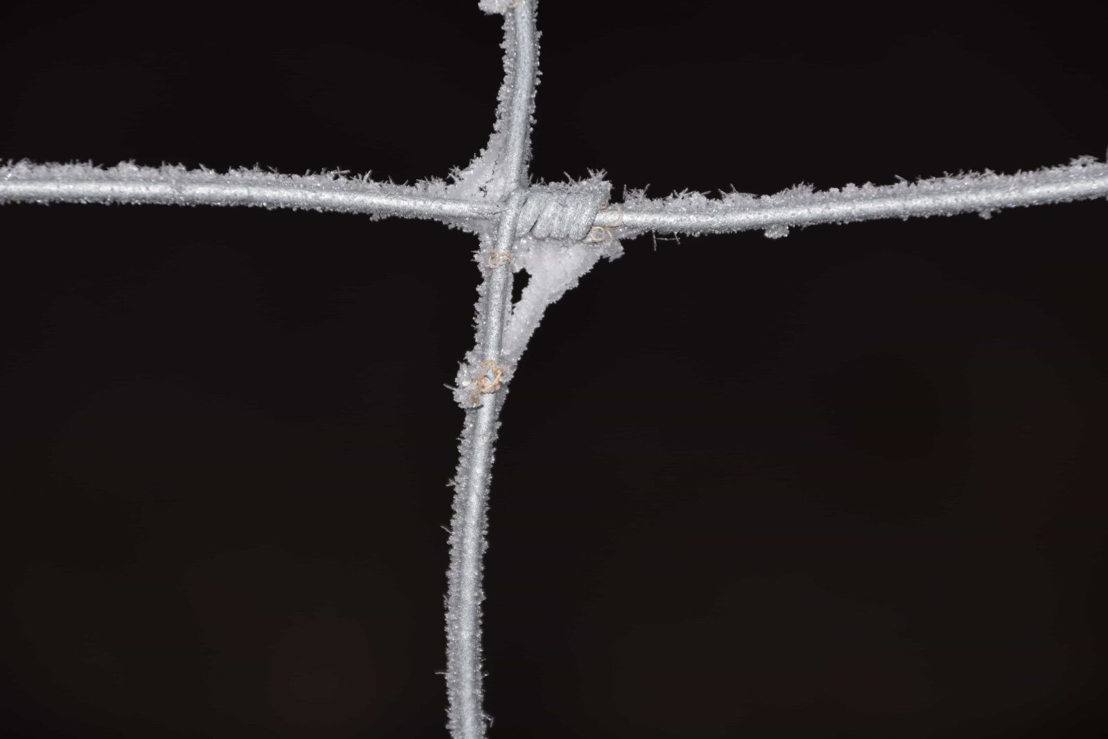 Nikon D3300 sample photo. Wire, metal, steel, snow photography
