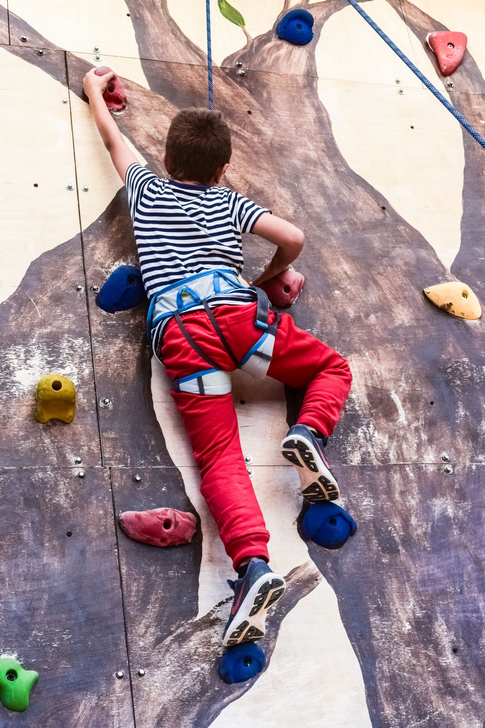 Nikon D3300 sample photo. Climbing wall, climb, climbing photography