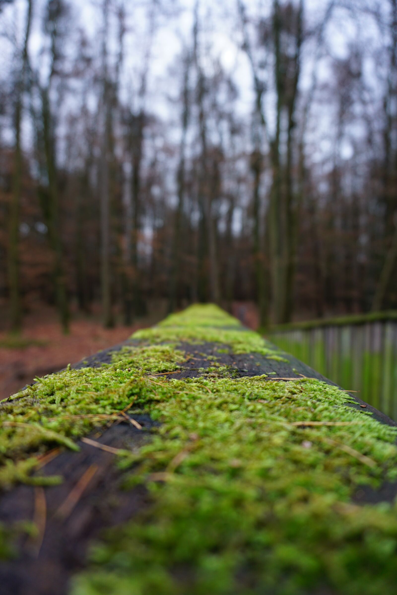 Sony E 16-50mm F3.5-5.6 PZ OSS sample photo. Bridge, wood, railing photography