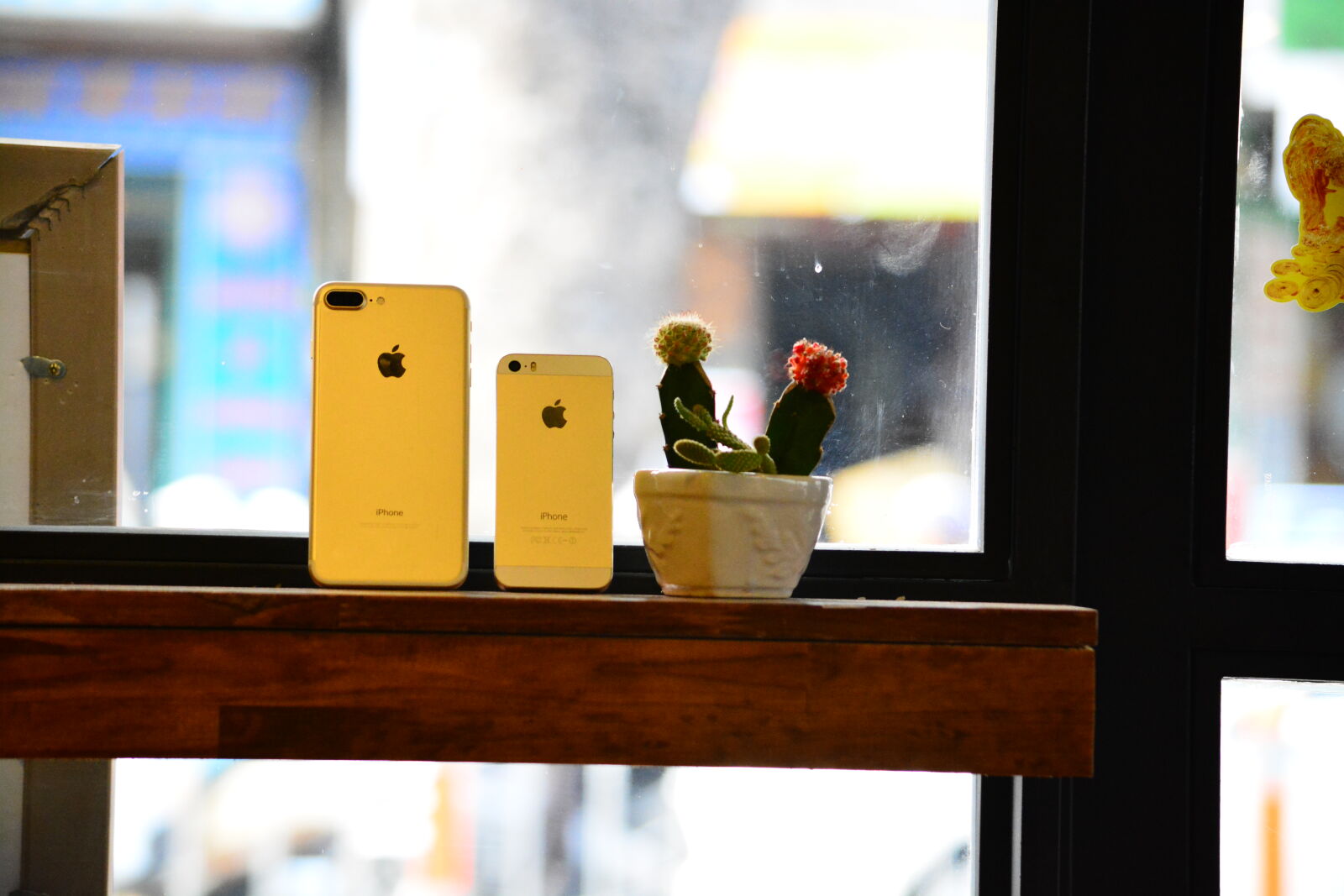 Nikon D7100 sample photo