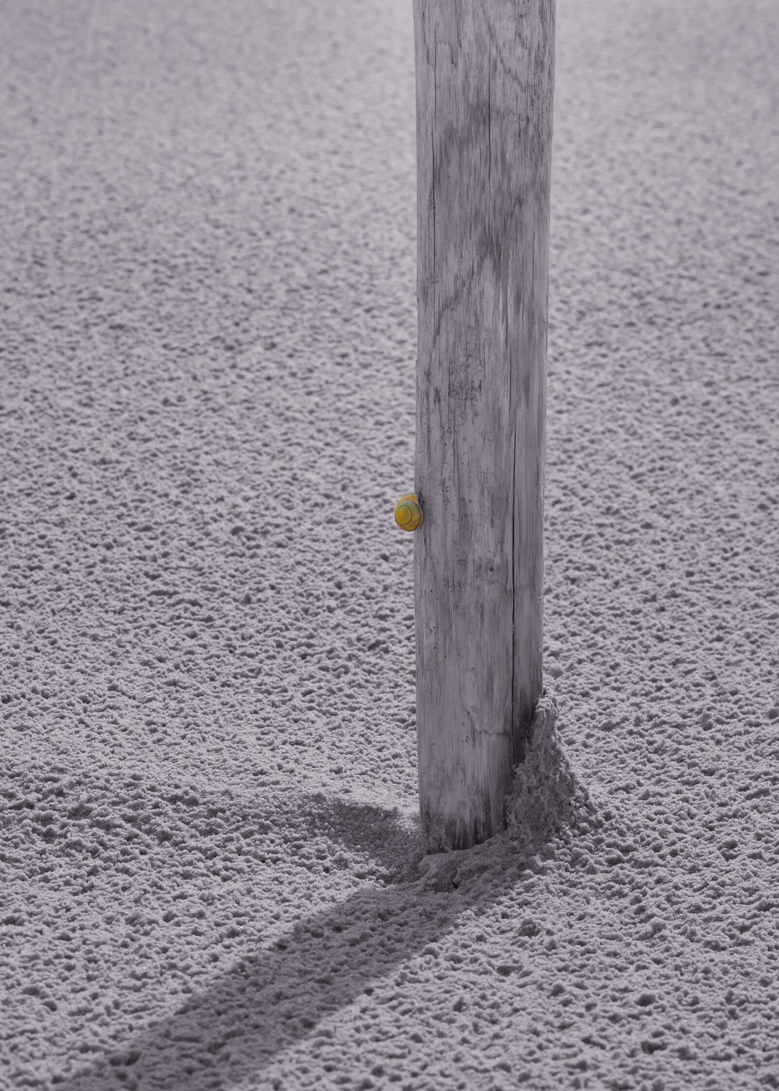 Canon EOS 50D sample photo. Pile, wind, sand photography