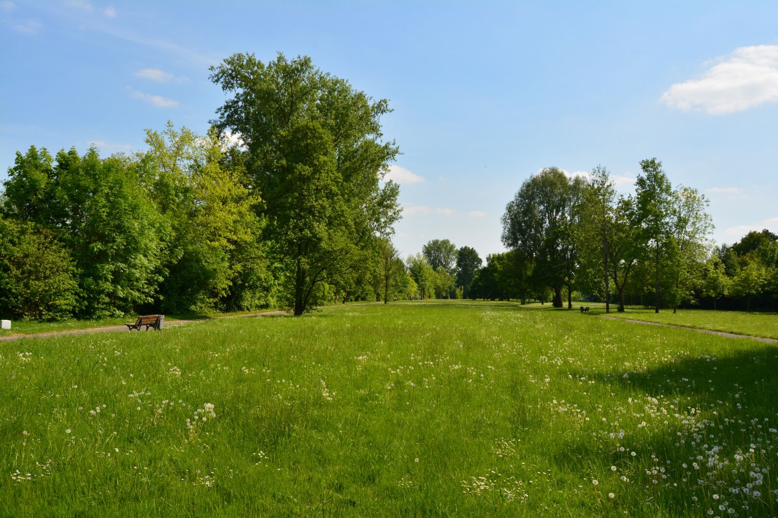 Nikon D5200 sample photo. Grass, nature, landscape photography