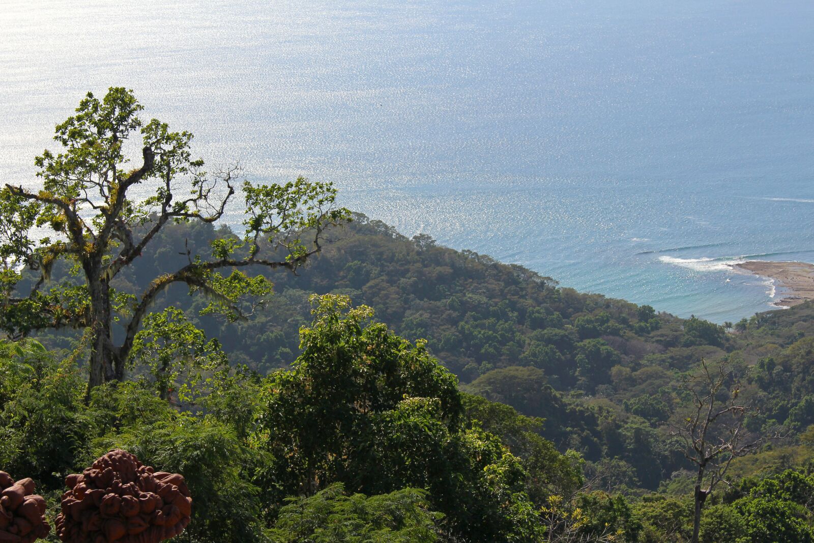 Canon EOS 700D (EOS Rebel T5i / EOS Kiss X7i) sample photo. Costa rica, tropical, jungle photography