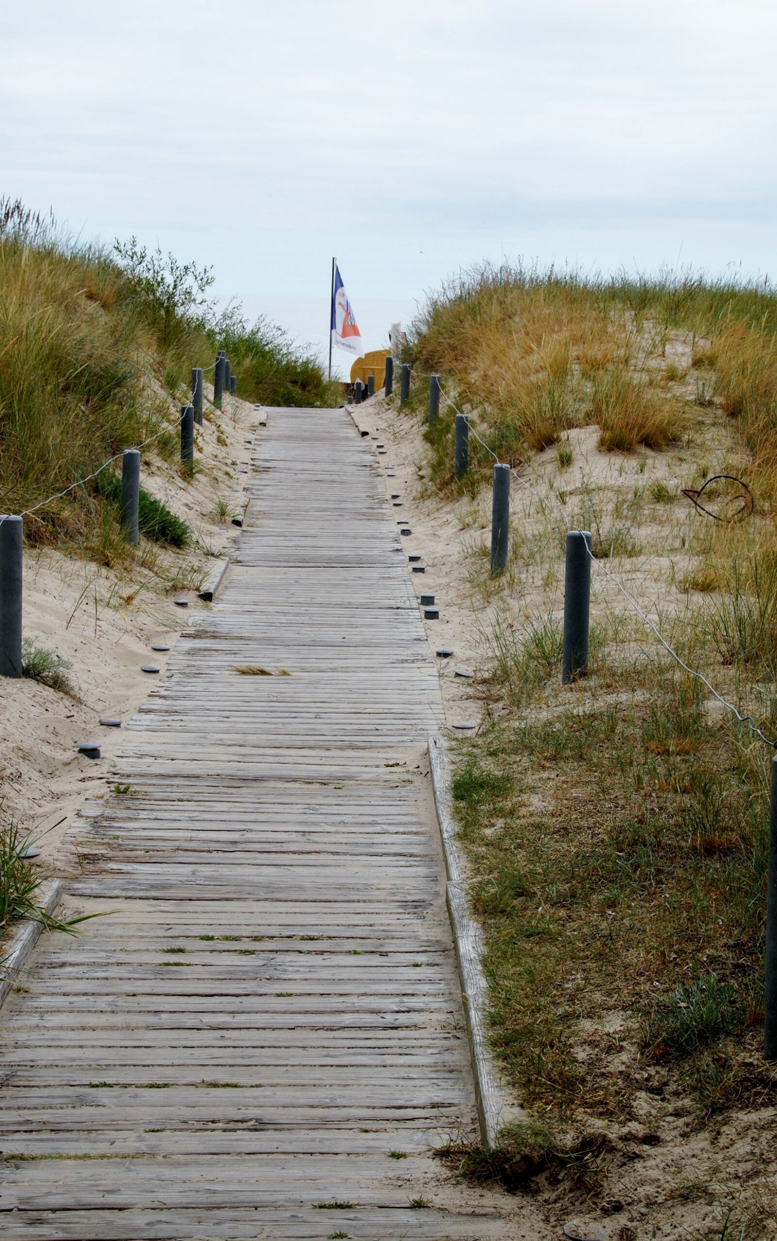 Sony SLT-A58 sample photo. Path, the trail, dunes photography