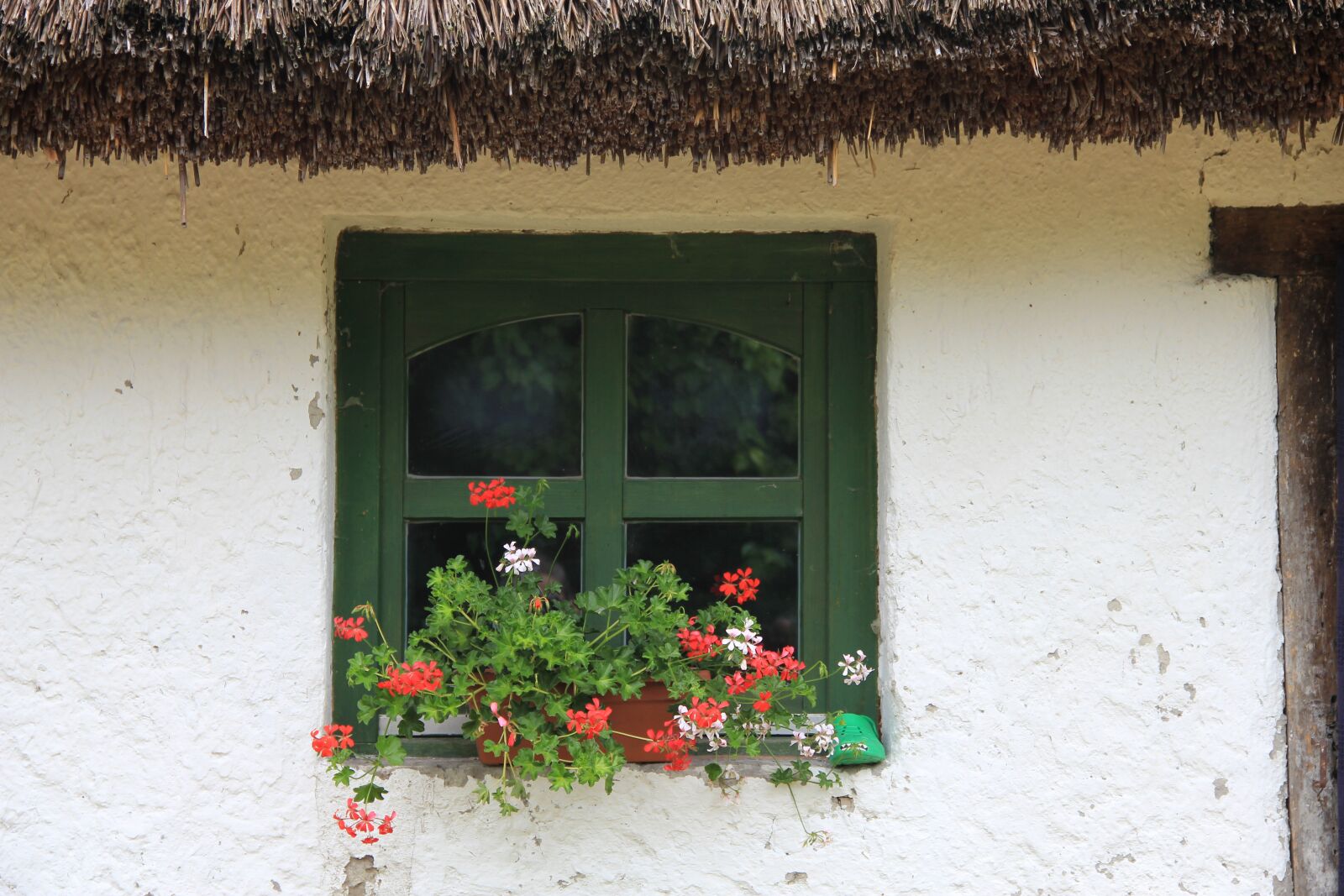 Canon EOS 550D (EOS Rebel T2i / EOS Kiss X4) sample photo. Window, thatched roof, flower photography