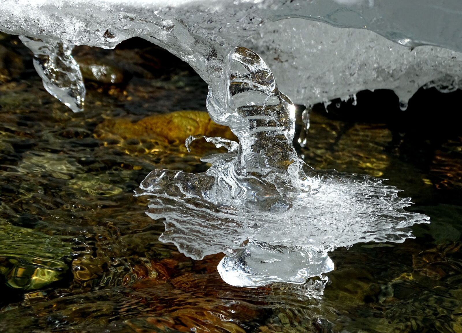 Sony DSC-HX400 sample photo. River, forest, winter photography