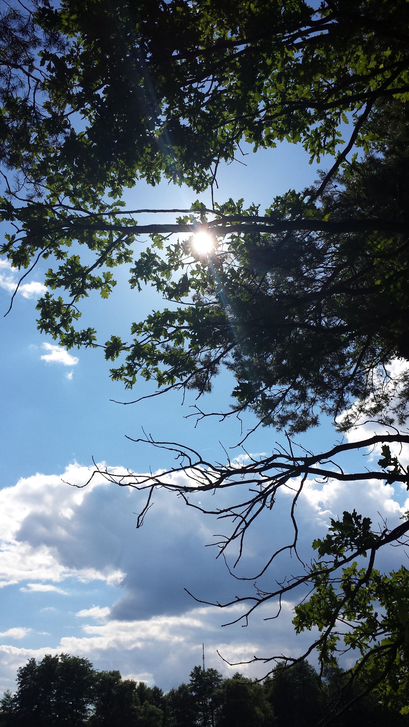 Samsung Galaxy S4 sample photo. Landscape, clouds, tree photography