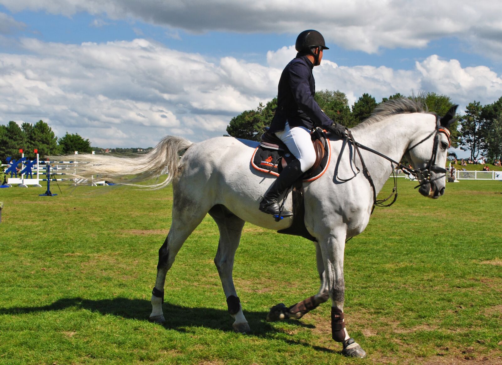 Nikon D3000 sample photo. Horses, riders, races photography