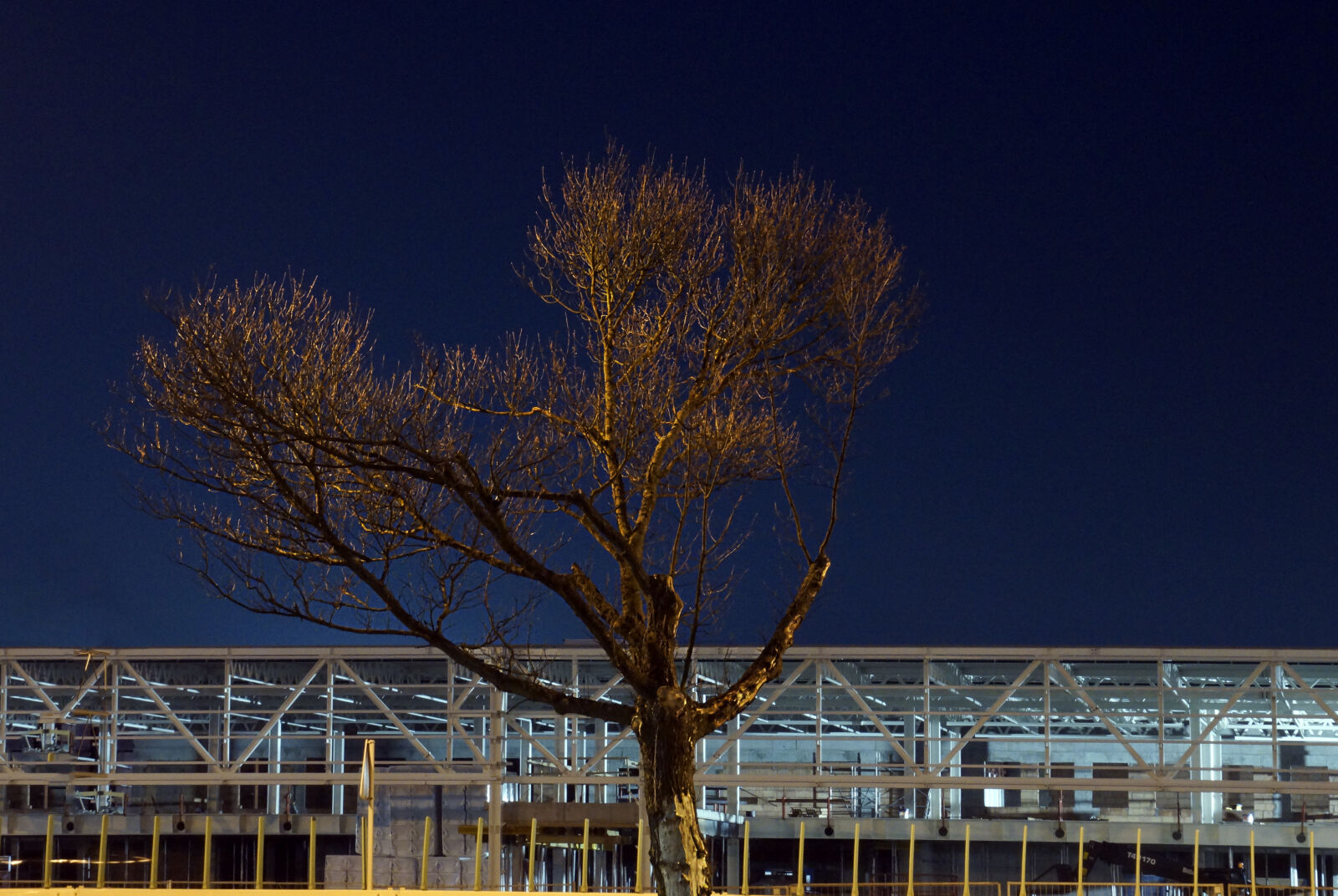 Sony SLT-A65 (SLT-A65V) sample photo. City, night, tree, warehouse photography