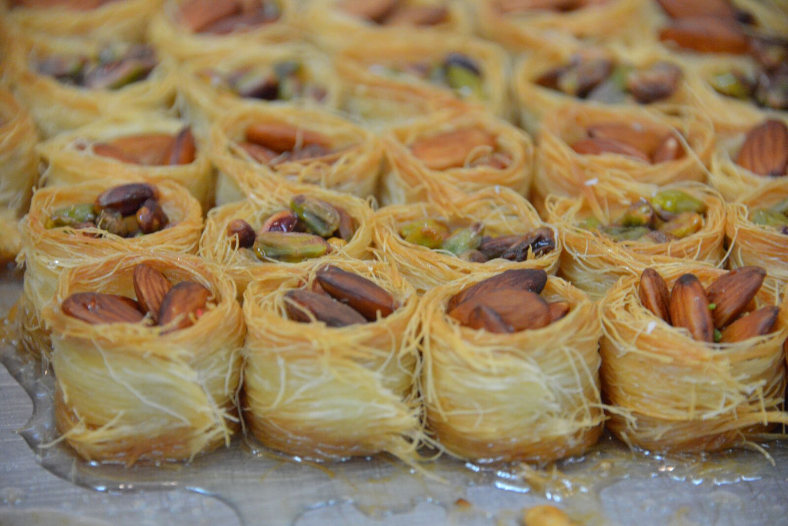 Nikon D600 sample photo. Middle eastern, dessert, birds photography