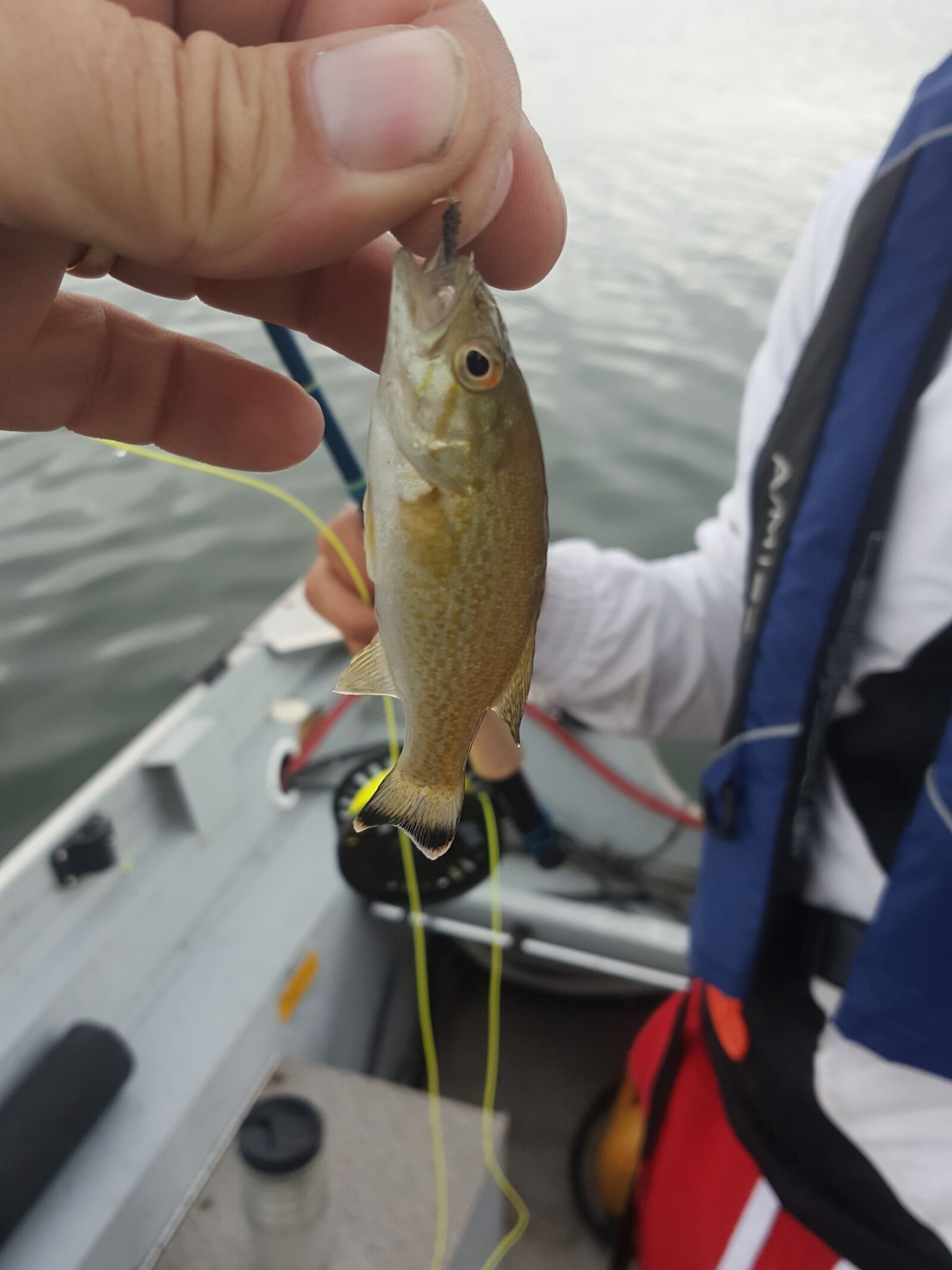 Samsung Galaxy Note5 sample photo. Fish, fishing, fisherman photography