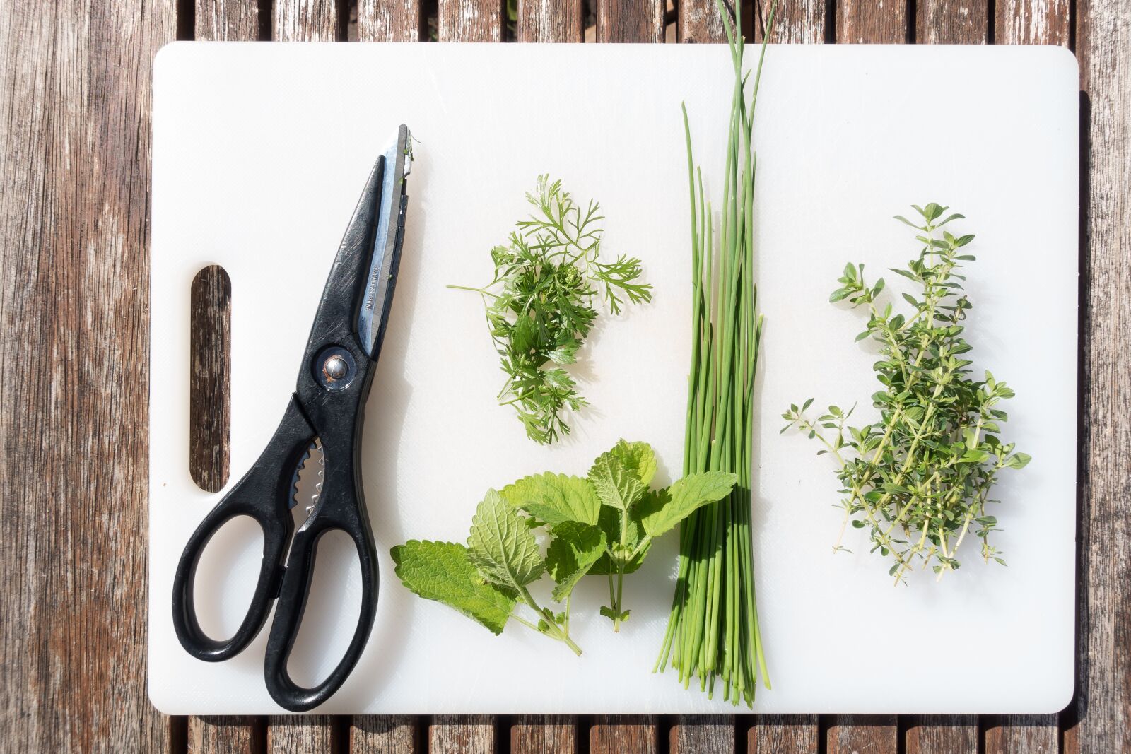 Sony Cyber-shot DSC-RX100 III sample photo. Spices, chervil, lemon balm photography