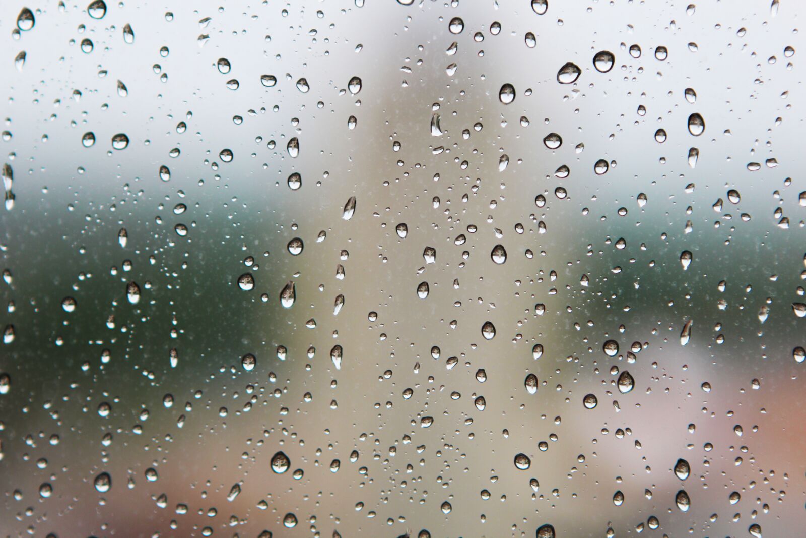 Canon EOS 60D sample photo. Rain, drops, wet photography
