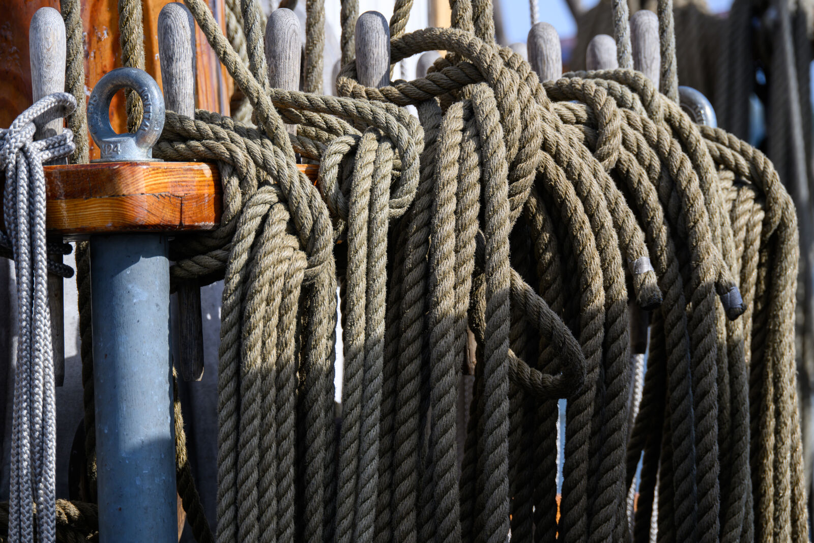 Nikon Z8 sample photo. Boat ropes photography