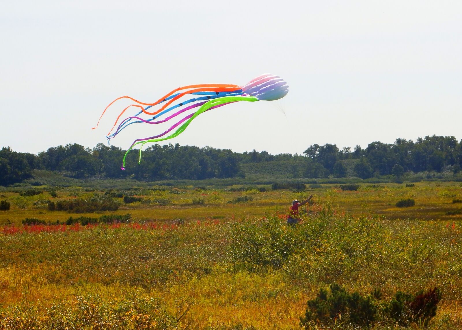 Fujifilm FinePix S1 sample photo. Tundra, autumn, kite photography