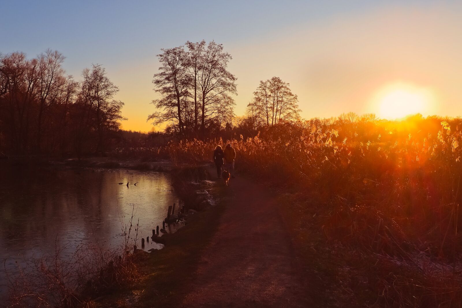 Olympus OM-D E-M10 sample photo. Landscape, lake, nature photography