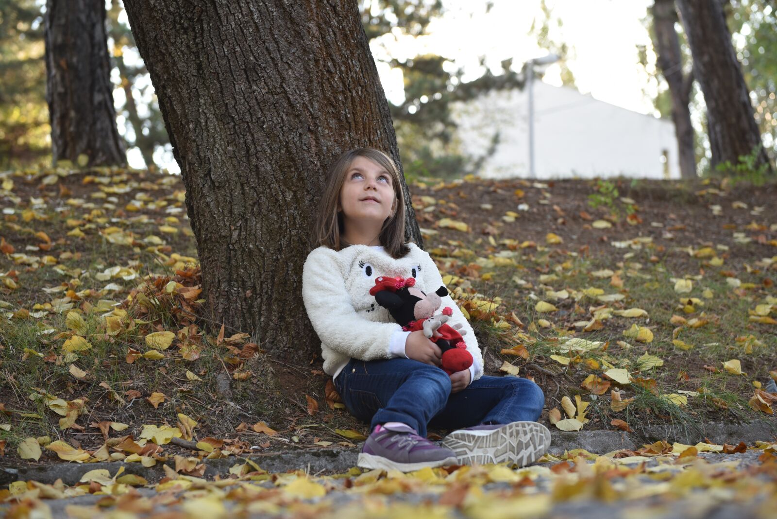 Nikon D750 sample photo. Autumn, child, baby photography