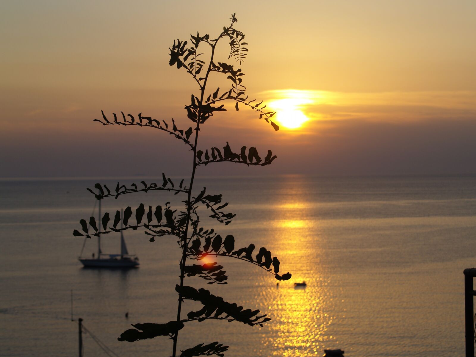 Olympus E-500 (EVOLT E-500) sample photo. Sunsets, summer, sea photography