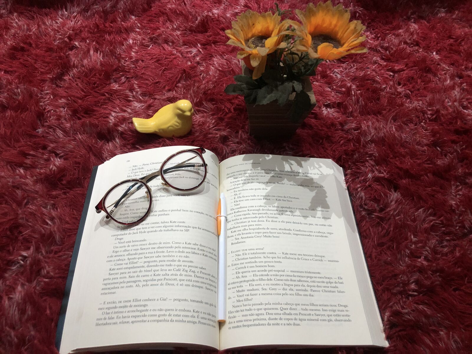 iPhone 8 Plus back dual camera 3.99mm f/1.8 sample photo. Book, studies, books photography
