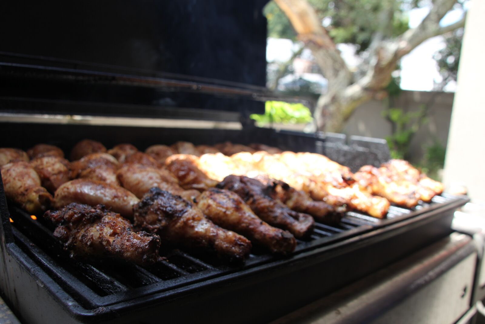 Canon EOS 60D sample photo. Meat, braai, bbq photography