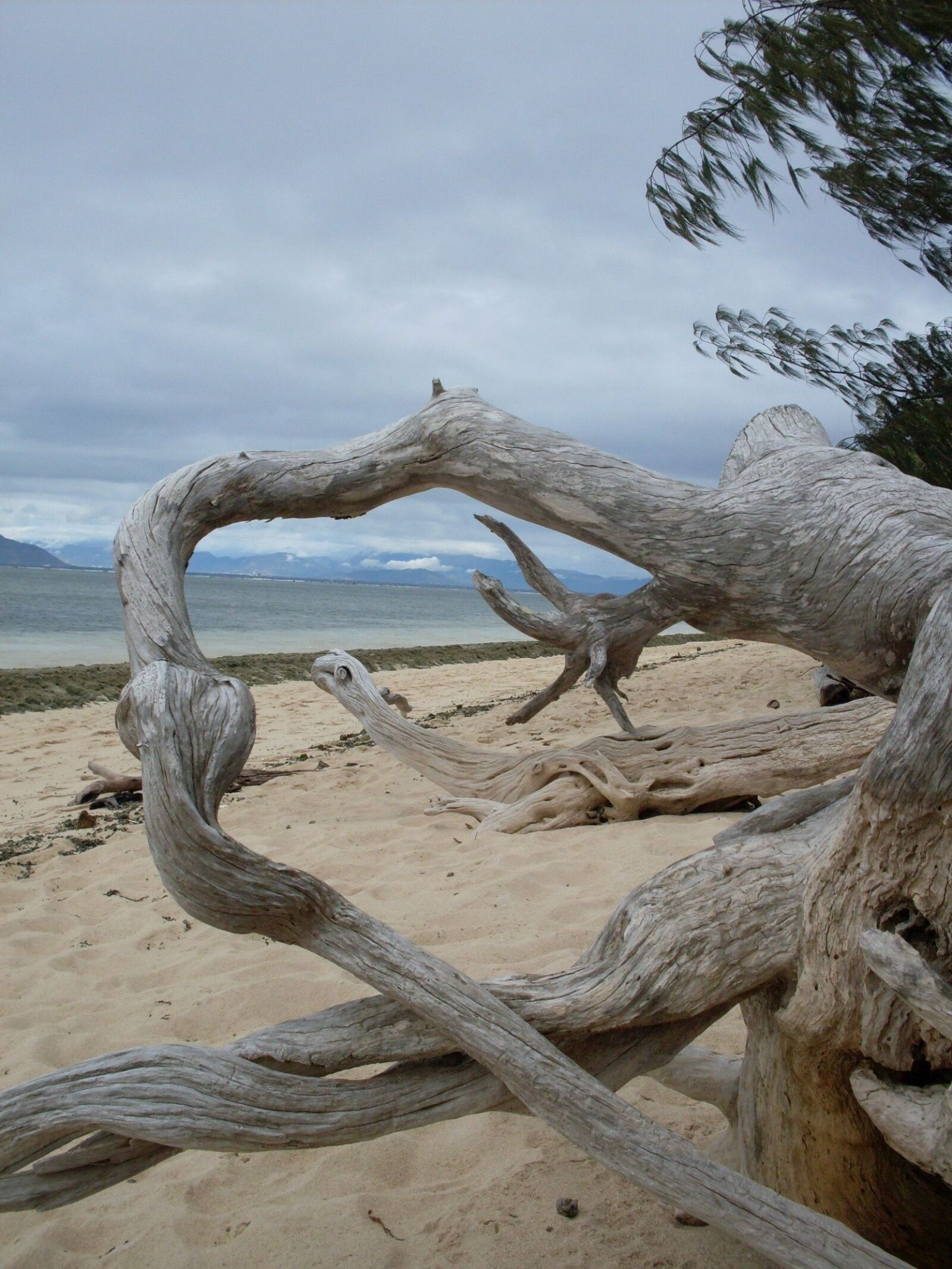 Samsung KENOX S860  / Samsung S860 sample photo. Tropical island, australia, paradise photography