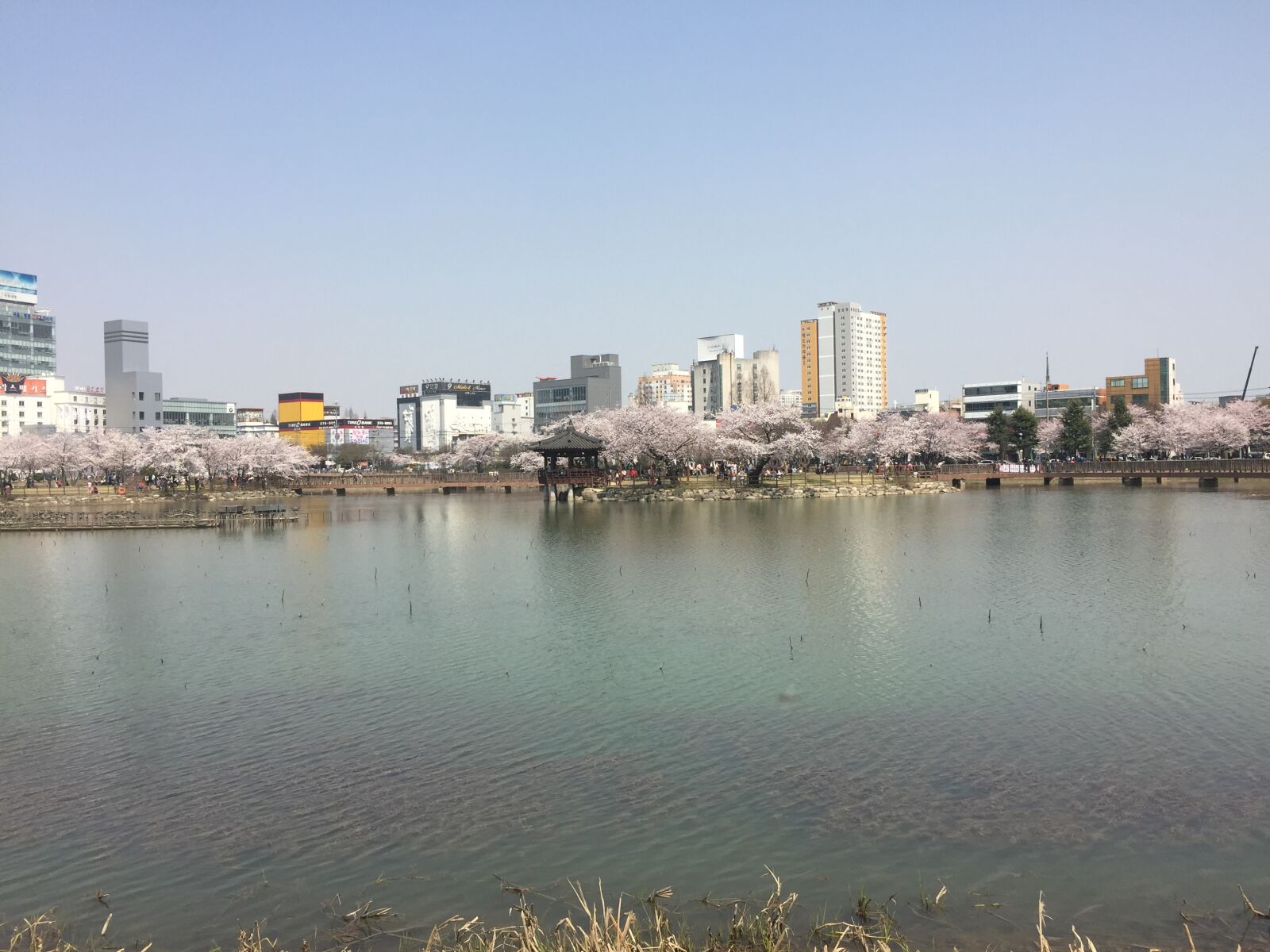 iPhone 6 Plus back camera 4.15mm f/2.2 sample photo. Scenic, view, of, river photography