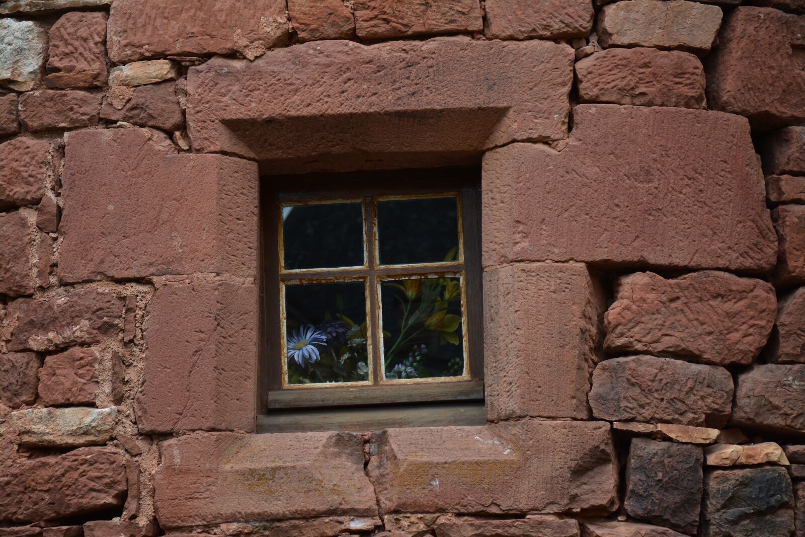 Nikon D7100 sample photo. Window, flowers, red wall photography