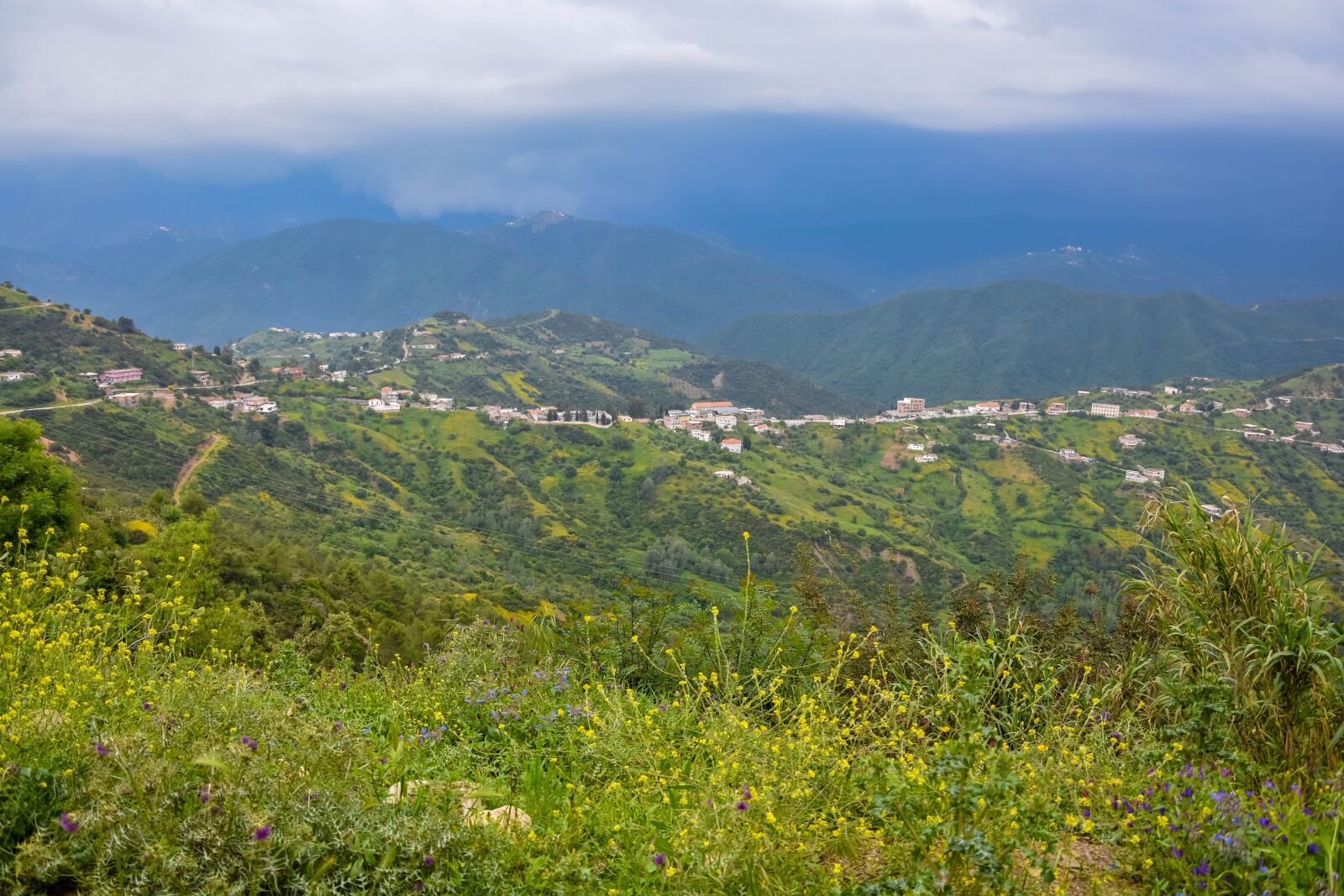 Nikon D3400 sample photo. Kabylia, djebla, algeria photography