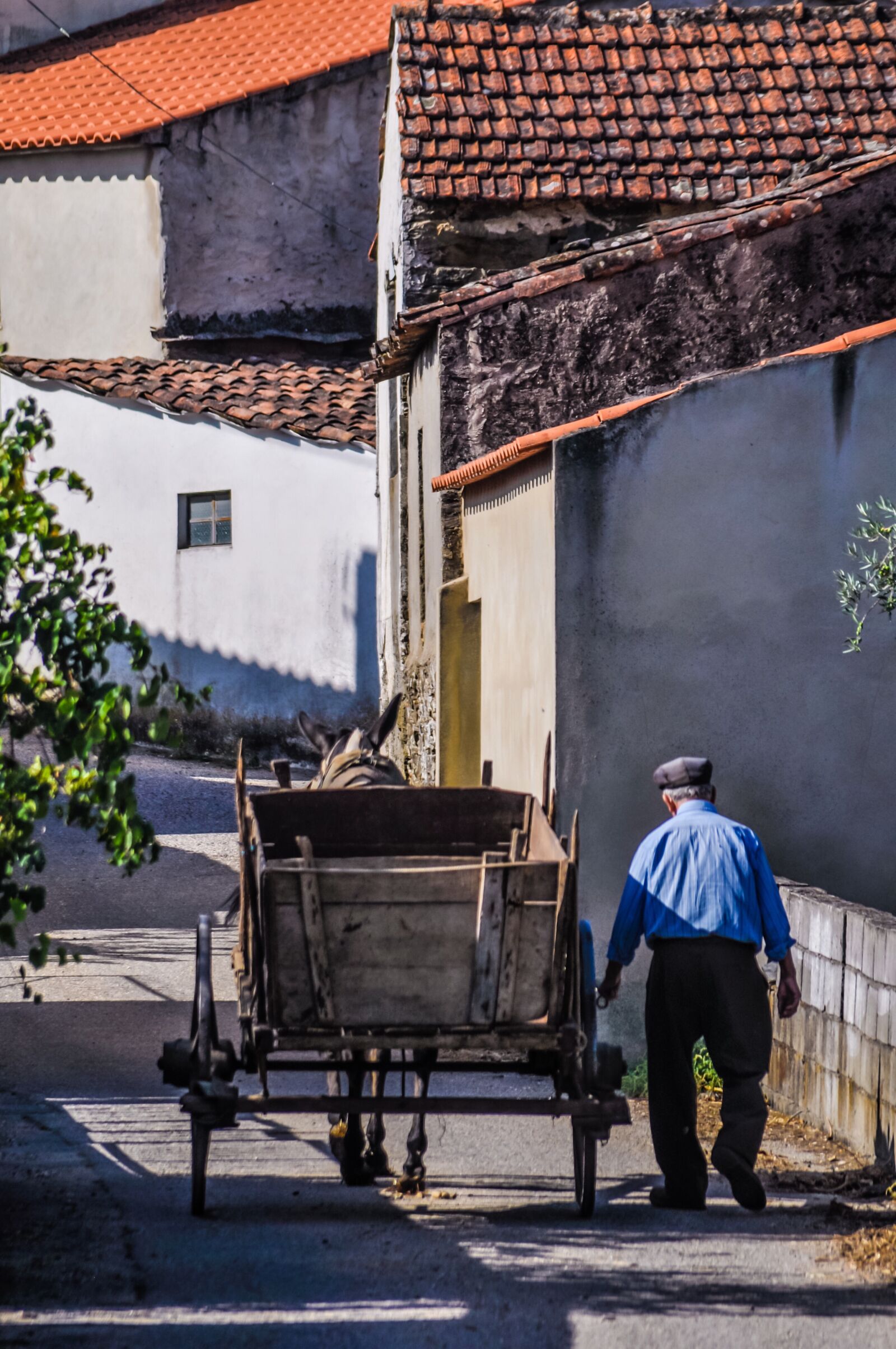 Nikon D90 sample photo. Farm, agriculture, village photography