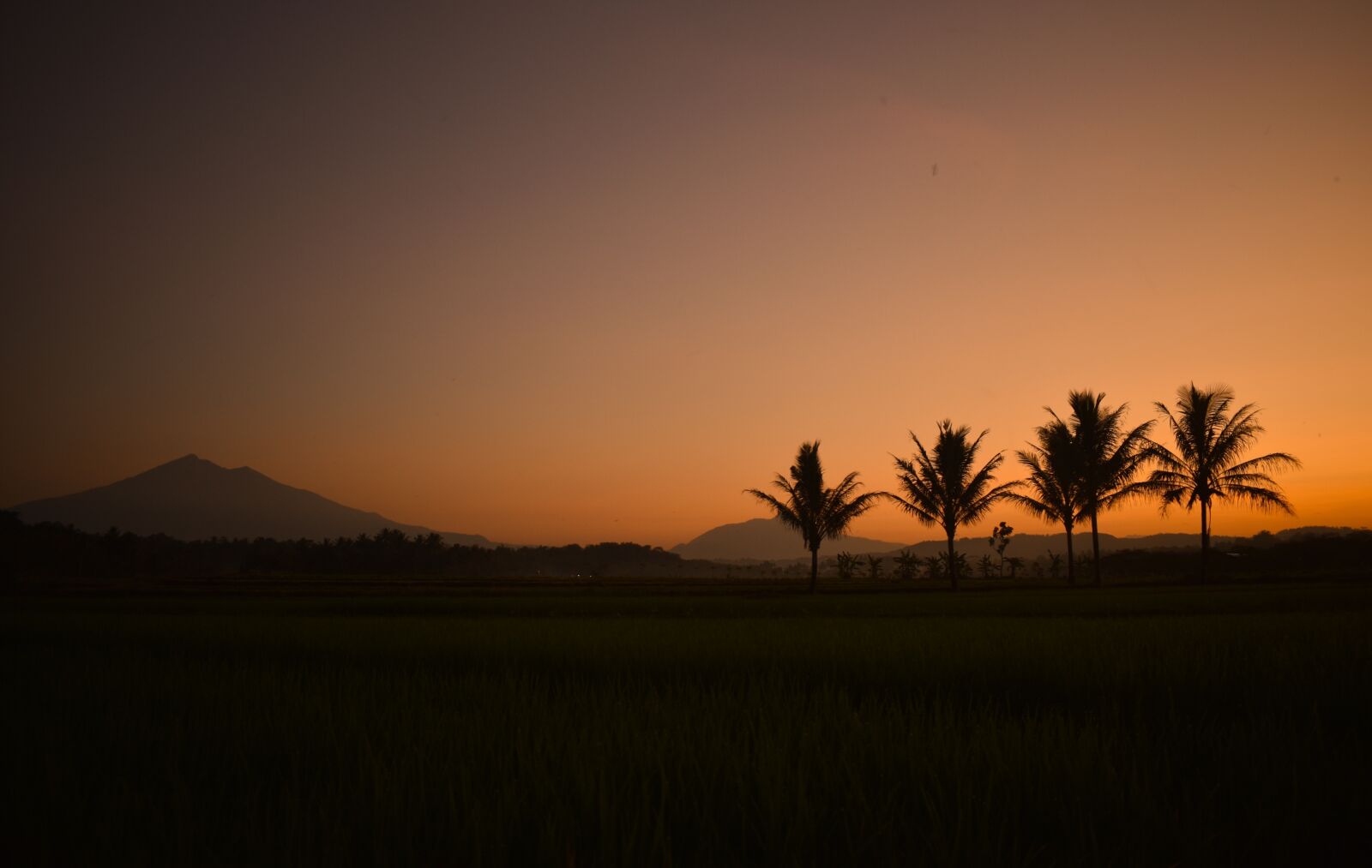Nikon D3400 sample photo. Dusk, sunset, silhouette photography