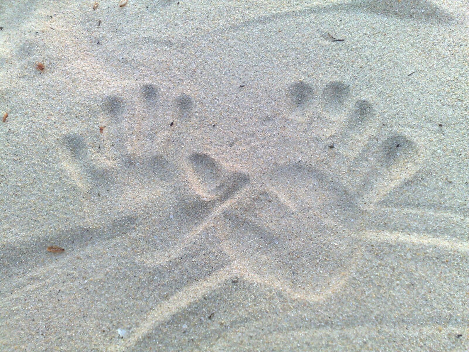 Nokia N95 sample photo. Beach, love, sea photography