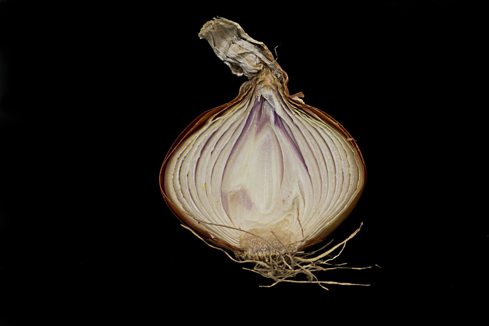 Nikon D7100 sample photo. Onion, løgsnit, food photography
