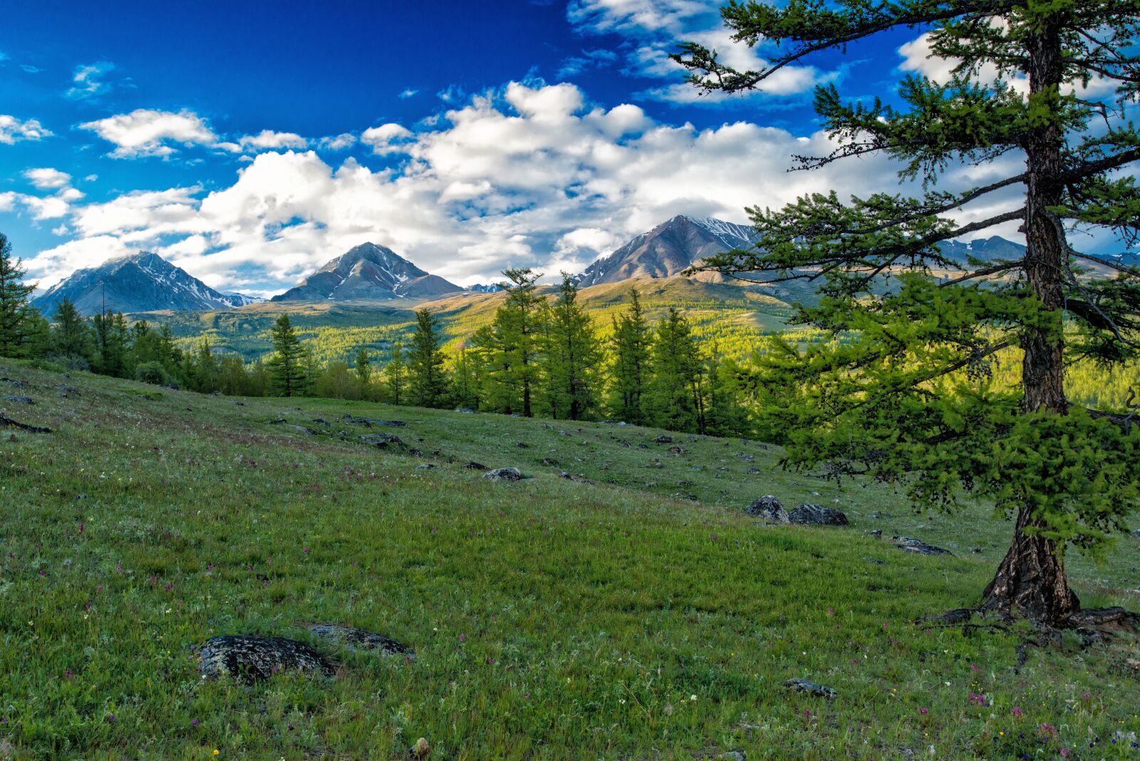 Nikon D800E sample photo. Landscape, mountain, mongolia the photography