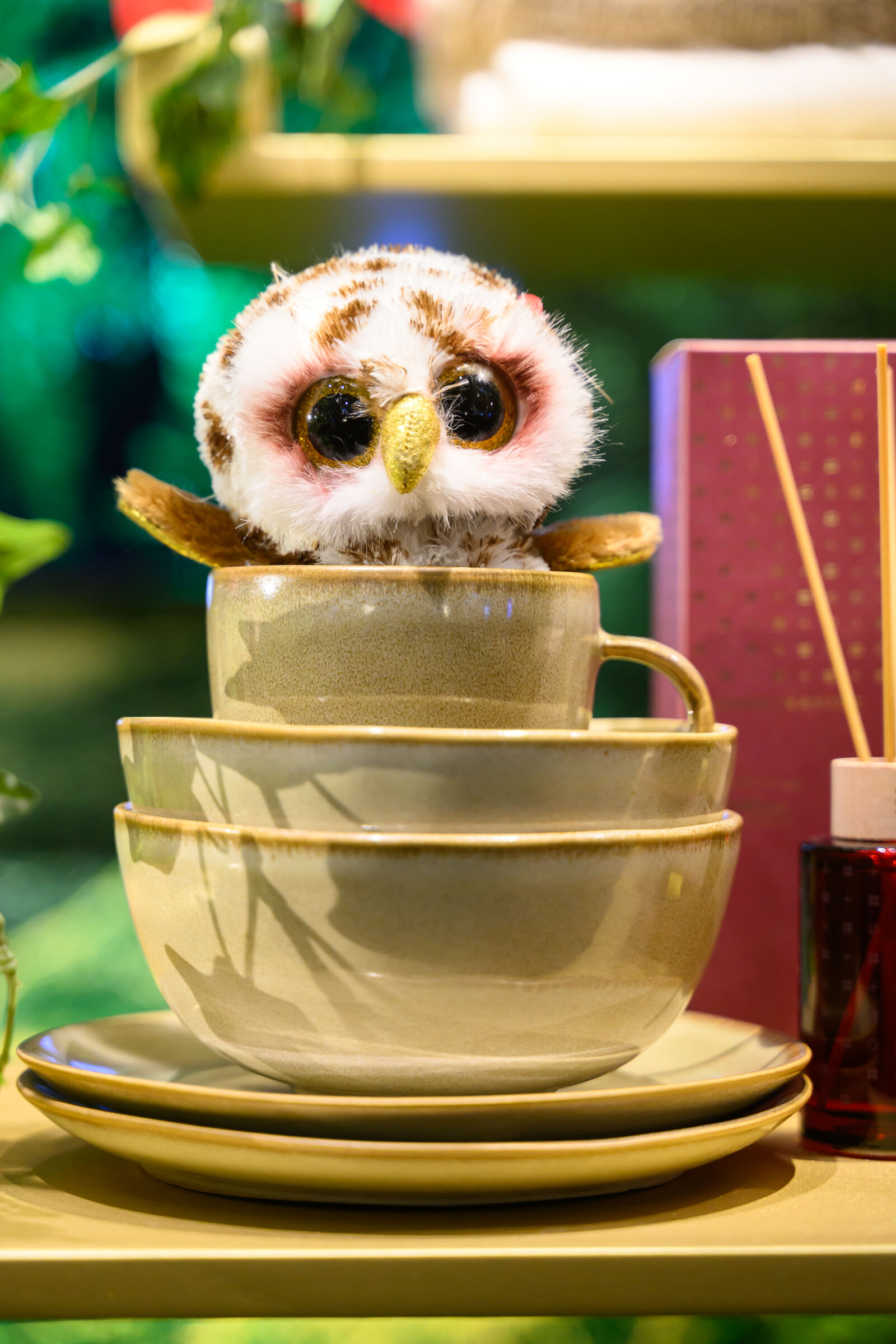 Nikon Nikkor Z 28-75mm F2.8 sample photo. Owl in a cup photography