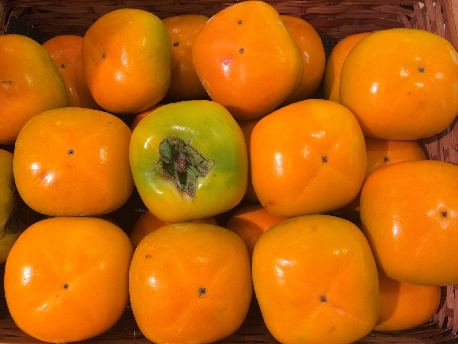 iPhone 5s back camera 4.15mm f/2.2 sample photo. Persimmon, autumn, fruit photography