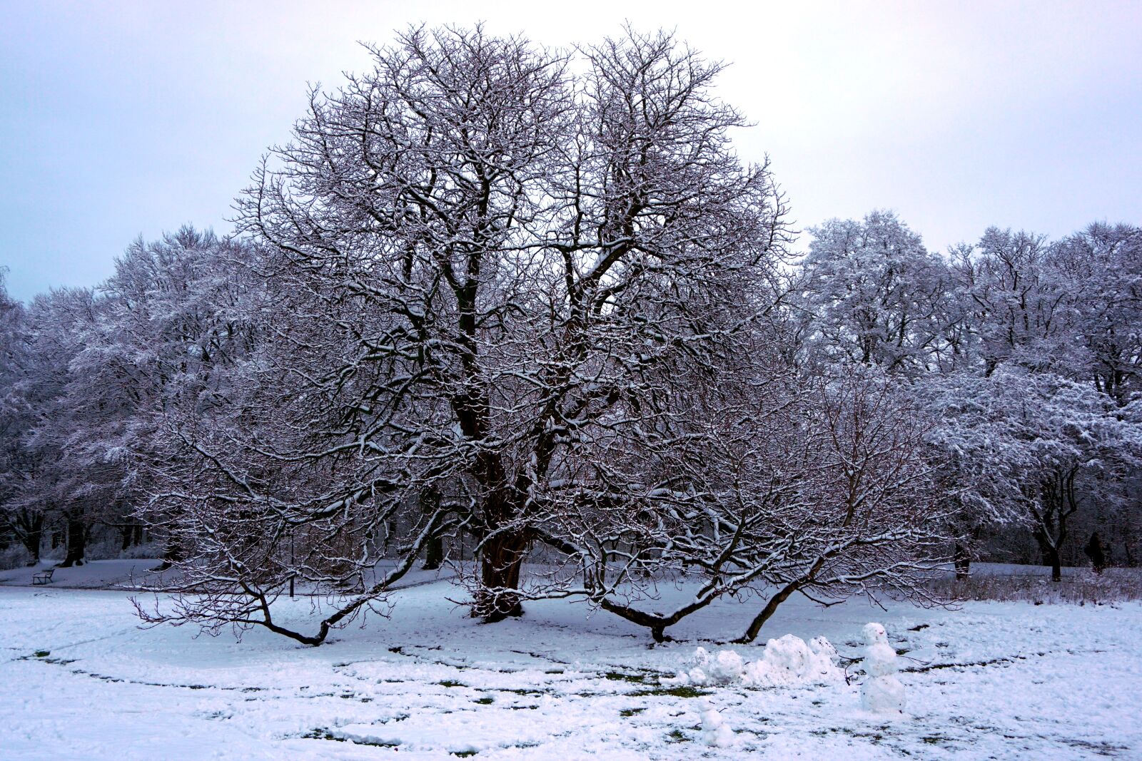 Sony a6000 sample photo. Malmö, winter, sweden photography