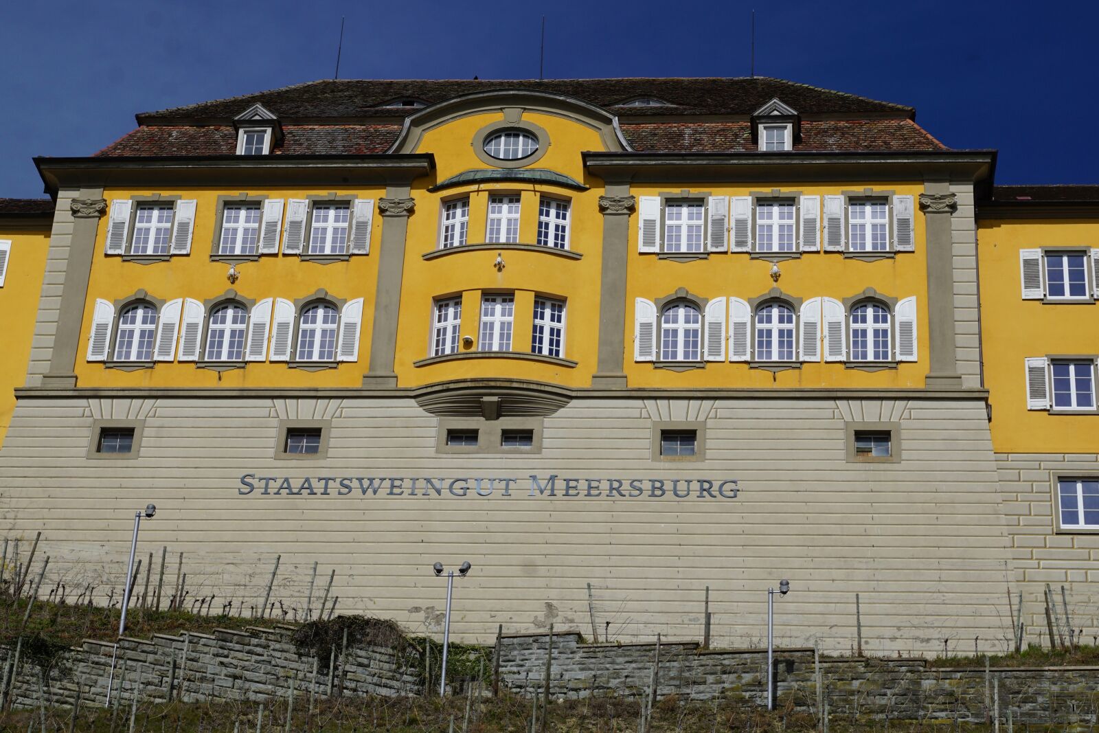 Sony ILCA-77M2 + Sony DT 16-50mm F2.8 SSM sample photo. Meersburg, winery, vineyard photography