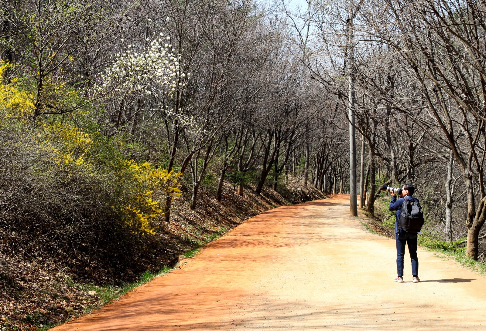 Canon EOS 5D Mark II sample photo. Loess trail, the yellow photography