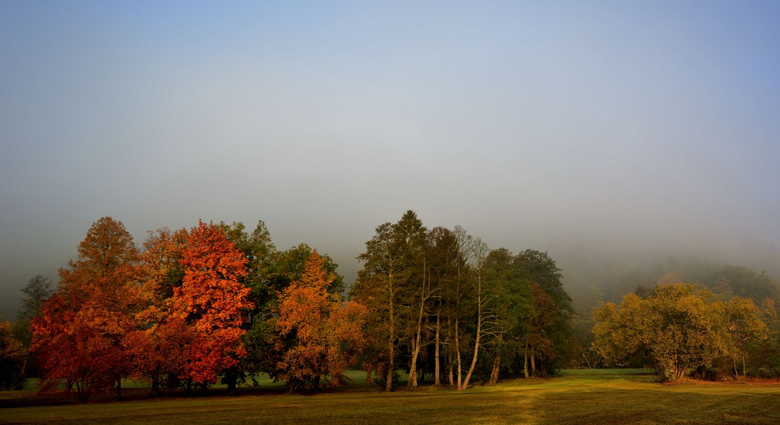 Nikon D5200 sample photo. Sunrise, fog, greizer park photography
