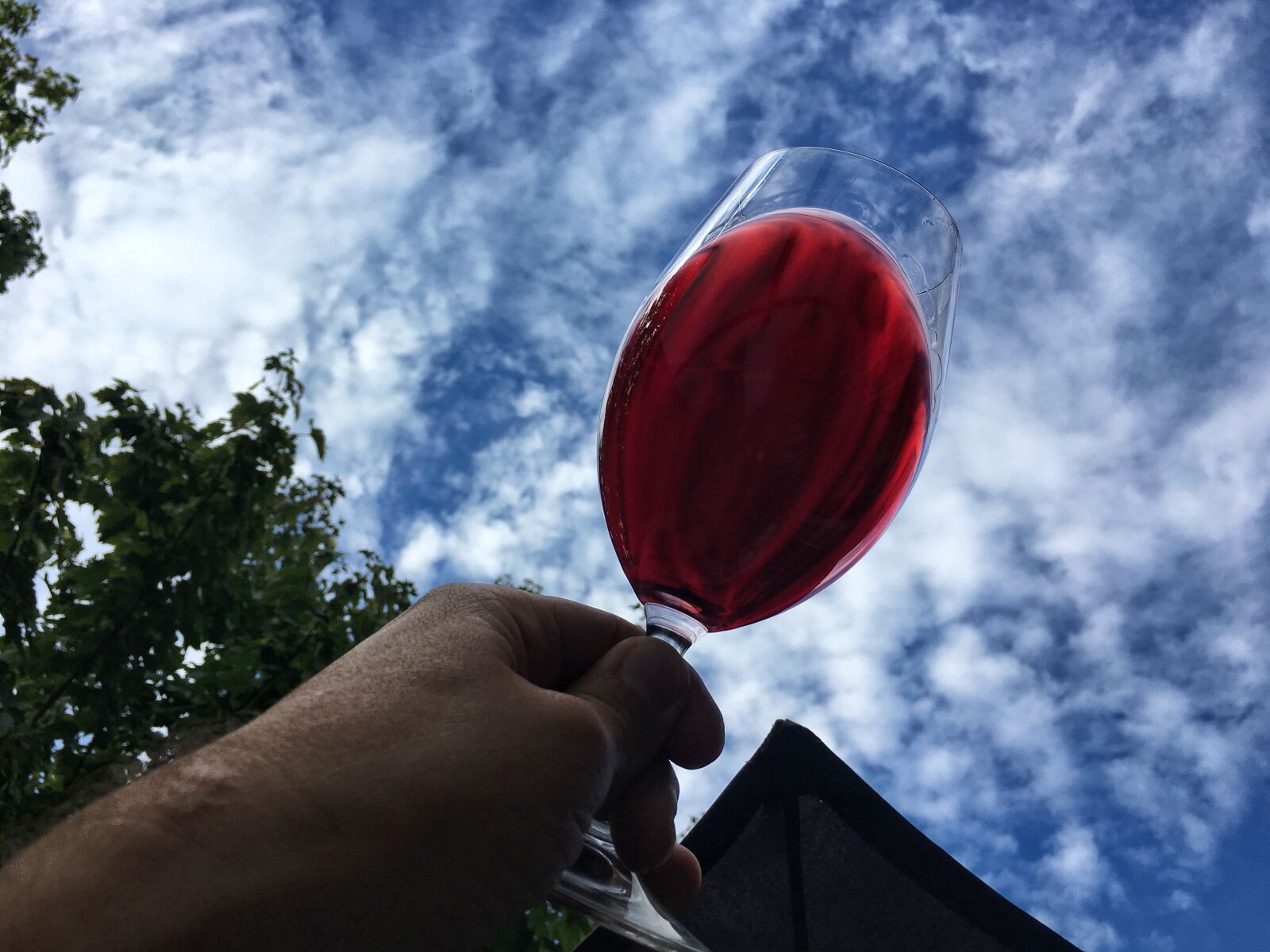 Apple iPhone 6s Plus sample photo. Cloudy, sky, red, wine photography