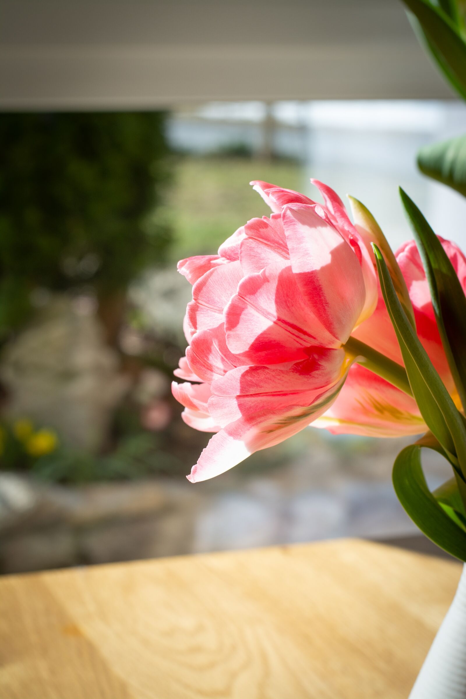 Nikon D7100 sample photo. Blossom, bloom, flower photography