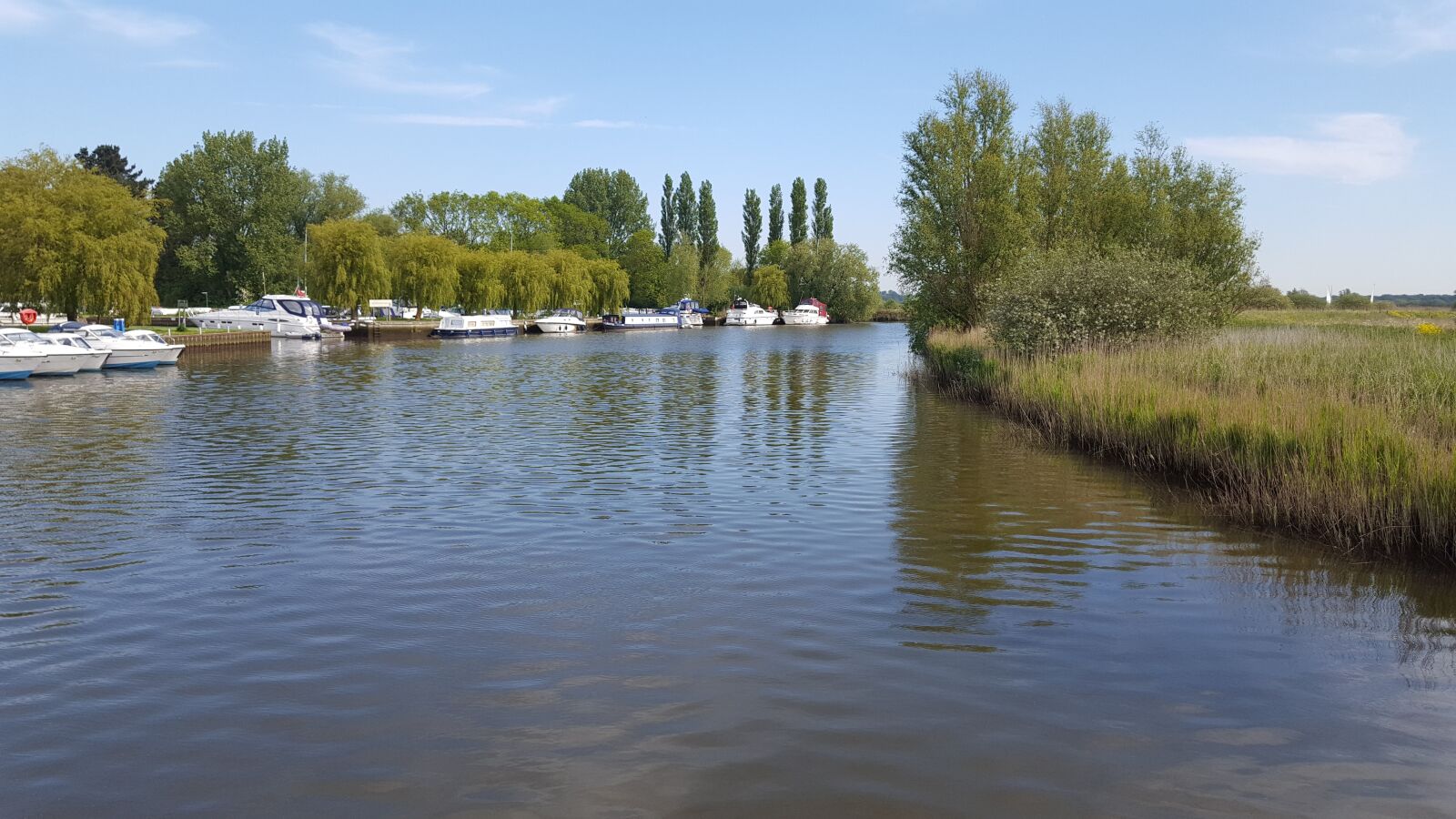 Samsung Galaxy S6 sample photo. Norfolk uk, norfolk broads photography