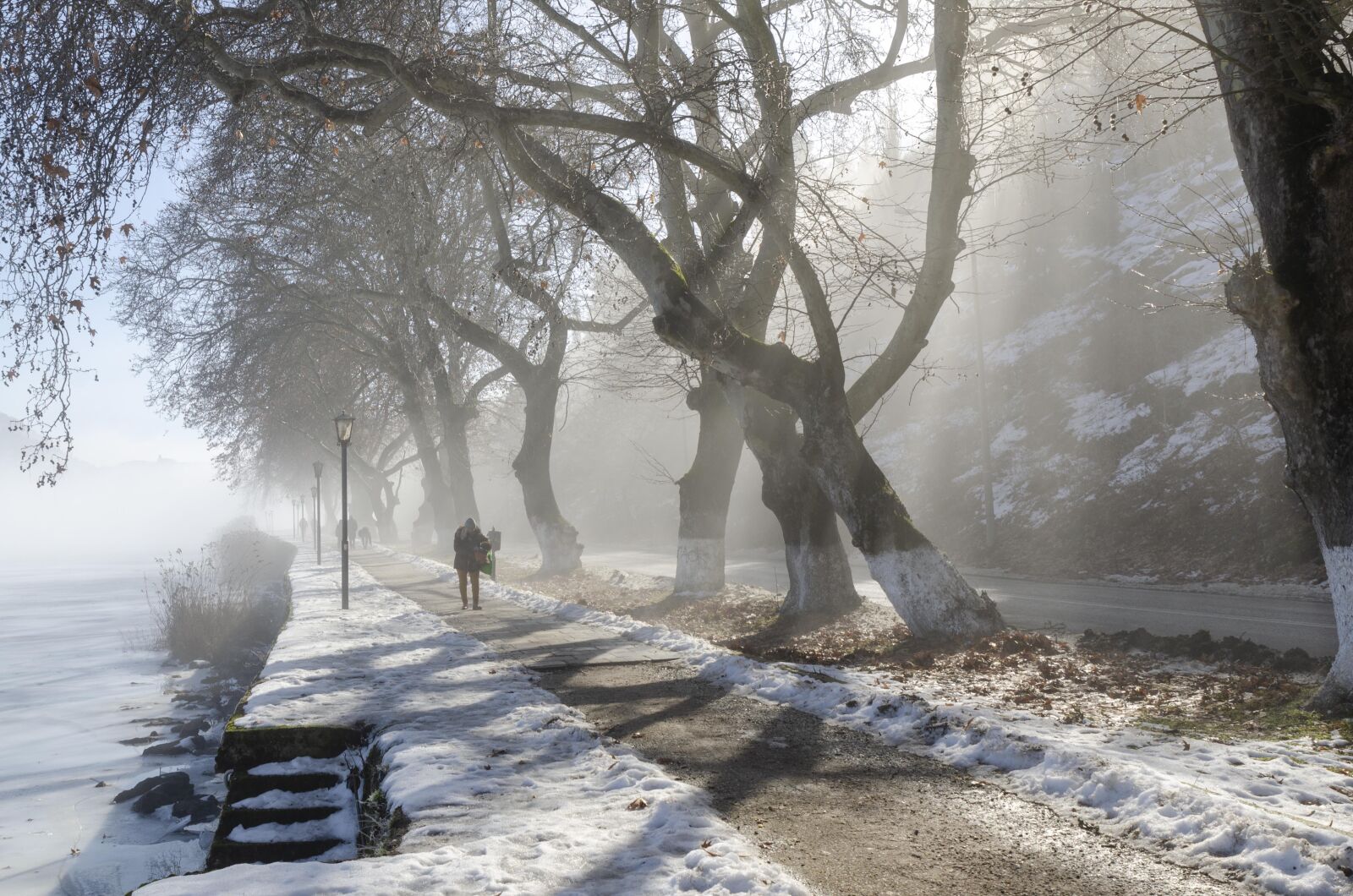 Tamron SP 24-70mm F2.8 Di VC USD sample photo. Snow, winter, people photography